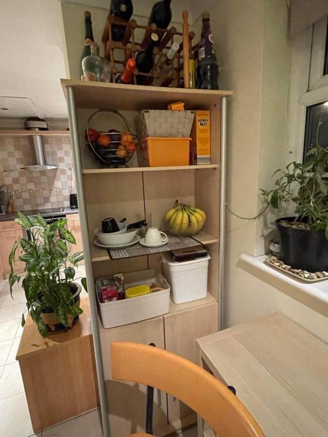קרוידון Cozy Homestay מראה חיצוני תמונה